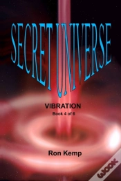 Capa do artigo Secret Universe