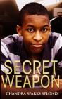 Secret Weapon - Preview