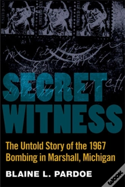 Capa do artigo Secret Witness