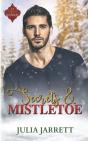 Secrets And Mistletoe - Preview
