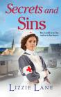 Secrets And Sins - Preview