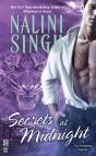 Secrets At Midnight - Preview
