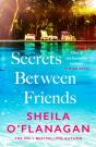 Secrets Between Friends - Preview
