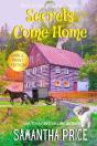 Secrets Come Home Large Print: Amish Sus - Preview