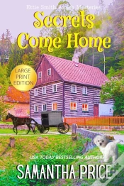 Capa do artigo Secrets Come Home Large Print: Amish Sus