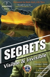 Capa do artigo Secrets
