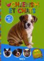 Secrets D'Animaux ; Chat Et Chien - Preview