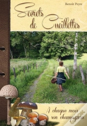 Capa do artigo Secrets De Cueillettes, À Chaque Mois Son Champignon