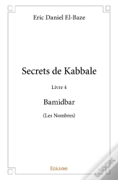 Secrets De Kabbale Tome 4 ; Bamidbar (Les Nombres)
