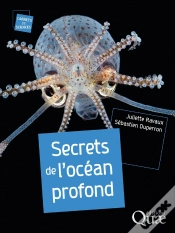 Capa do artigo Secrets De L