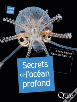 Capa do artigo Secrets De L'Océan Profond