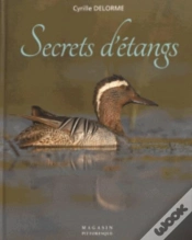 Capa do artigo Secrets D