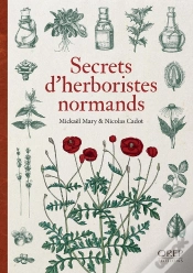 Capa do artigo Secrets D