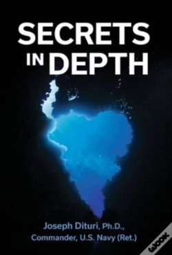 Capa do artigo Secrets In Depth