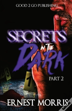 Capa do artigo Secrets In The Dark 2