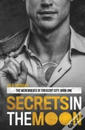 Secrets In The Moon