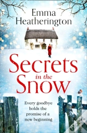 Capa do artigo Secrets In The Snow