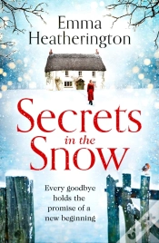 Capa do artigo Secrets In The Snow