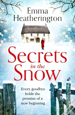 Capa do artigo Secrets In The Snow