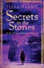 Secrets In The Stones - Preview