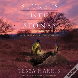 Capa do artigo Secrets In The Stones