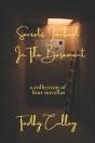Secrets Locked In The Basement - Preview