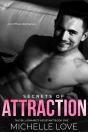 Secrets Of Attraction : An Office Romance - Preview