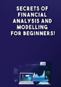 Secrets Of Financial Analysis And Modelling For Beginners! - Preview