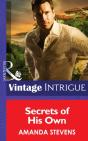 Secrets Of His Own - Preview