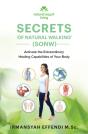 Secrets Of Natural Walking (Sonw) - Preview