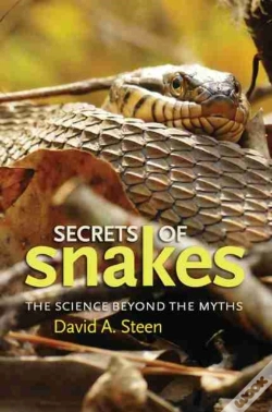 Capa do artigo Secrets Of Snakes