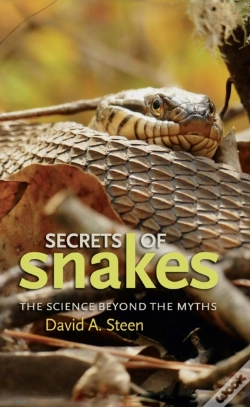 Capa do artigo Secrets Of Snakes