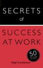 Secrets Of Success At Work - Preview