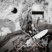 Capa do artigo Secrets of the Beehive - Vinil