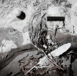 Capa do artigo Secrets of the Beehive - Vinil