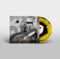 Secrets of the Beehive - Vinil - Preview
