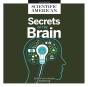 Secrets Of The Brain - Preview