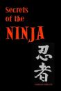 Secrets Of The Ninja - Preview