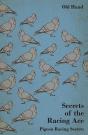 Secrets Of The Racing Ace - Pigeon Racing Secrets - Preview