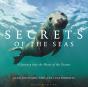 Secrets Of The Seas - Preview