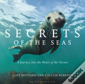 Capa do artigo Secrets Of The Seas