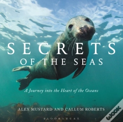 Capa do artigo Secrets Of The Seas