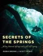 Secrets Of The Springs - Preview