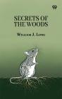 Secrets Of The Woods - Preview