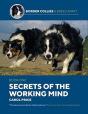 Secrets Of The Working Mind - Preview