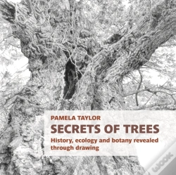 Capa do artigo Secrets Of Trees