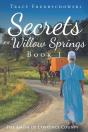 Secrets Of Willow Springs - Book 1 - Preview