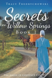 Capa do artigo Secrets Of Willow Springs - Book 1