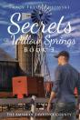 Secrets Of Willow Springs - Book 3 - Preview