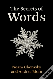 Capa do artigo Secrets Of Words